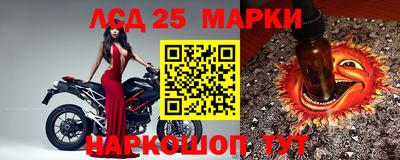 эйфоретик Кимры