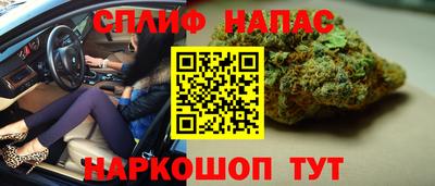 эйфоретик Кимры